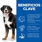Hill's Science Plan Youthful vitality Large pienso para perros, , large image number null